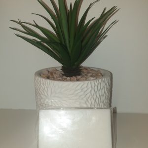 Savon lait de chèvre