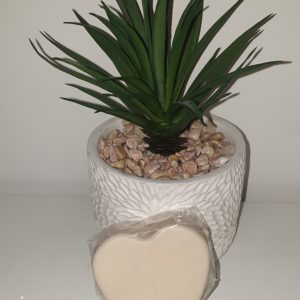 Savon aloe vera bio