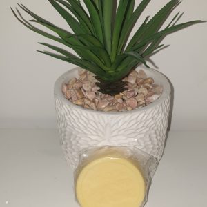 Savon lait de chèvre et carotte bio